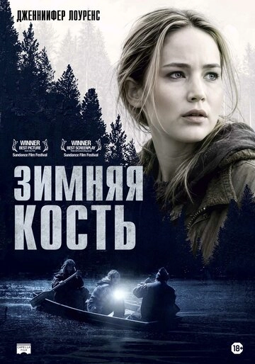 Зимняя кость (2010)